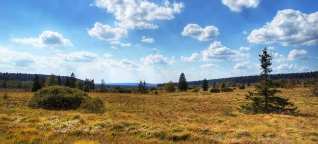 Plateau des Fagnes
